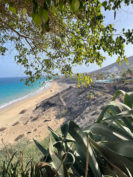 Strand ROBINSON ESQUINZO PLAYA