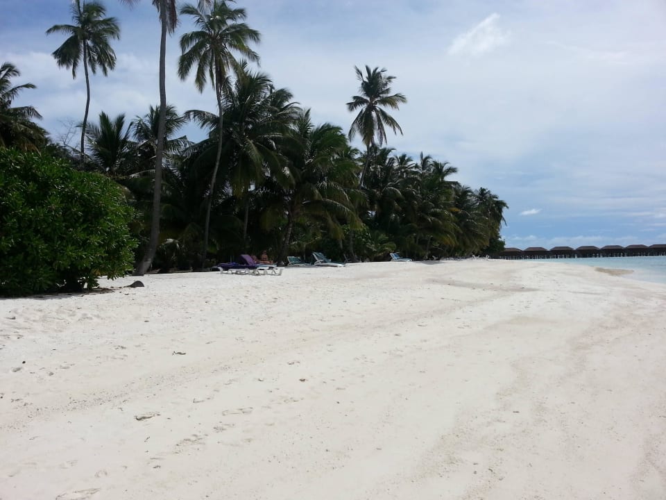 Strand bei 230 Bungi Meeru Maldives Resort Island