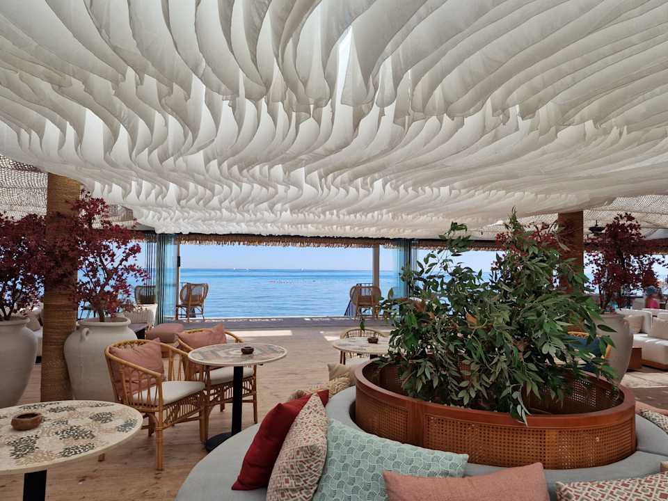 Außenansicht Desert Rose