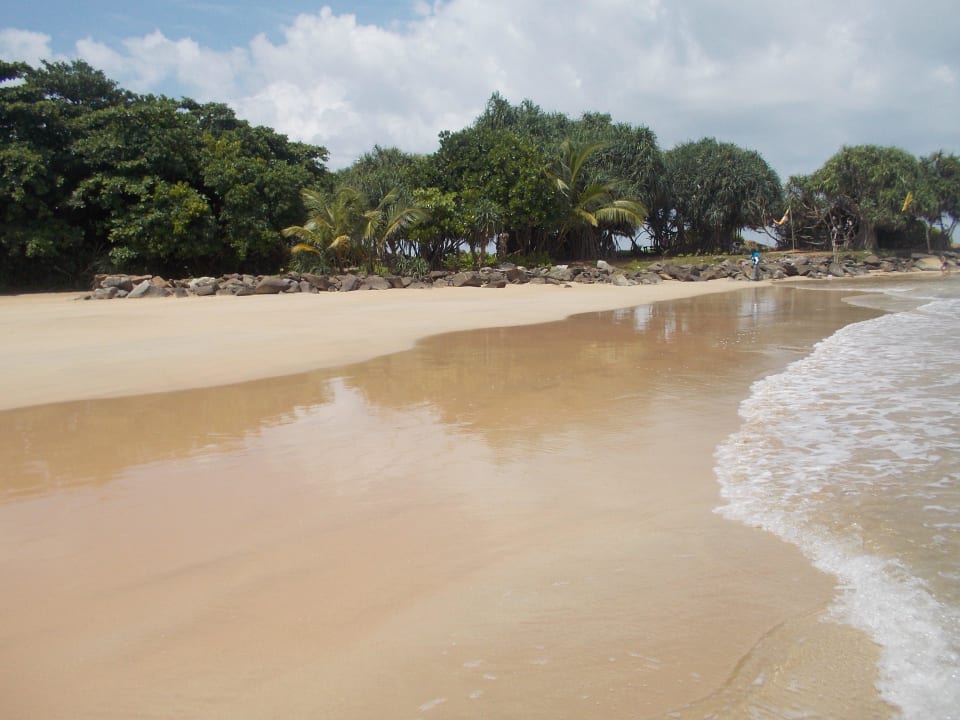 Strand Thaala Bentota