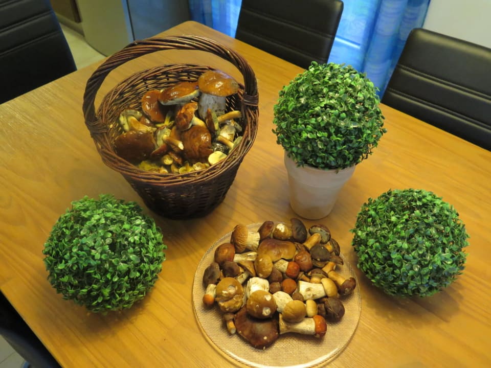 Autumn with us Buxusson Resort