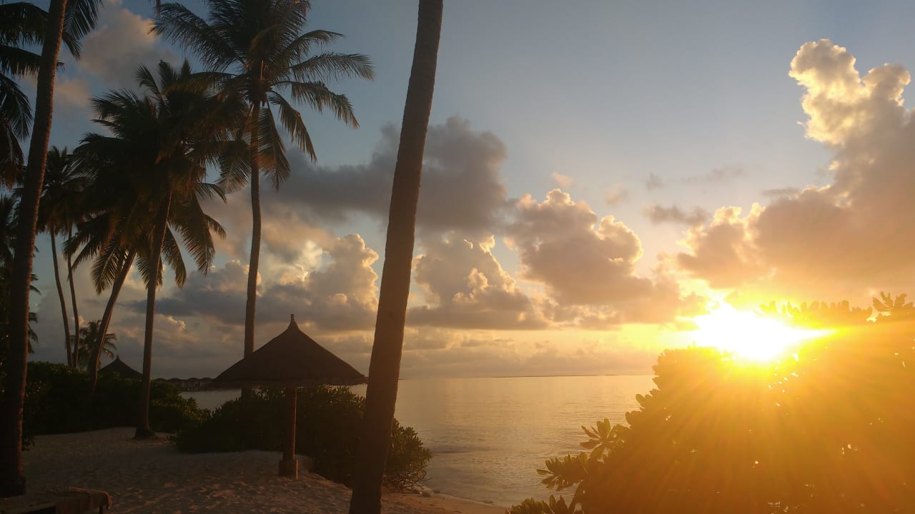 227 - 229 NH Collection Maldives Havodda Resort