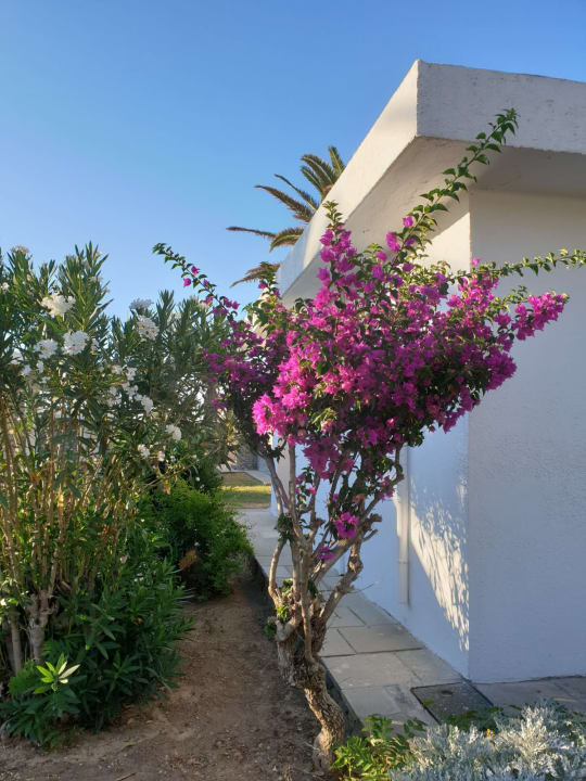 Gartenanlage Civitel Creta Beach
