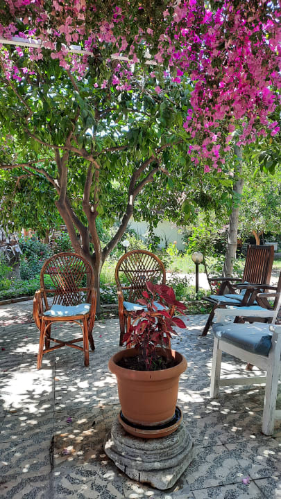 Gartenanlage Hotel Neptün/Neptun