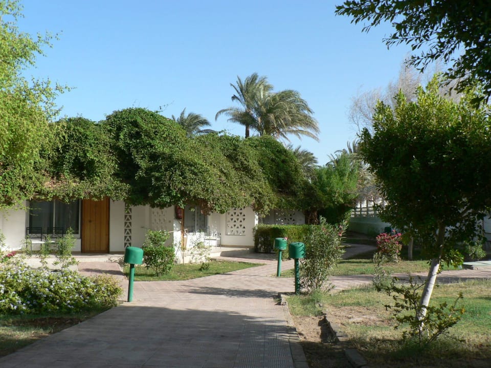 Garten mit Bungalow´s Shams Safaga Resort