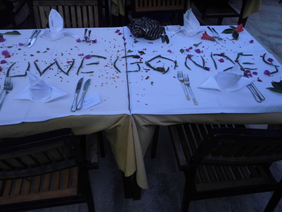 Super oder mein Mann hatte Geburtstag  Hane Family Resort