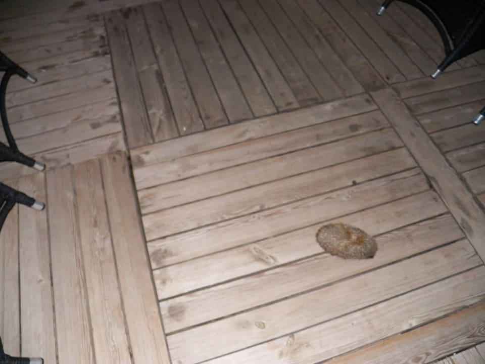 VON Resort Golden Coast VONRESORT Golden Coast