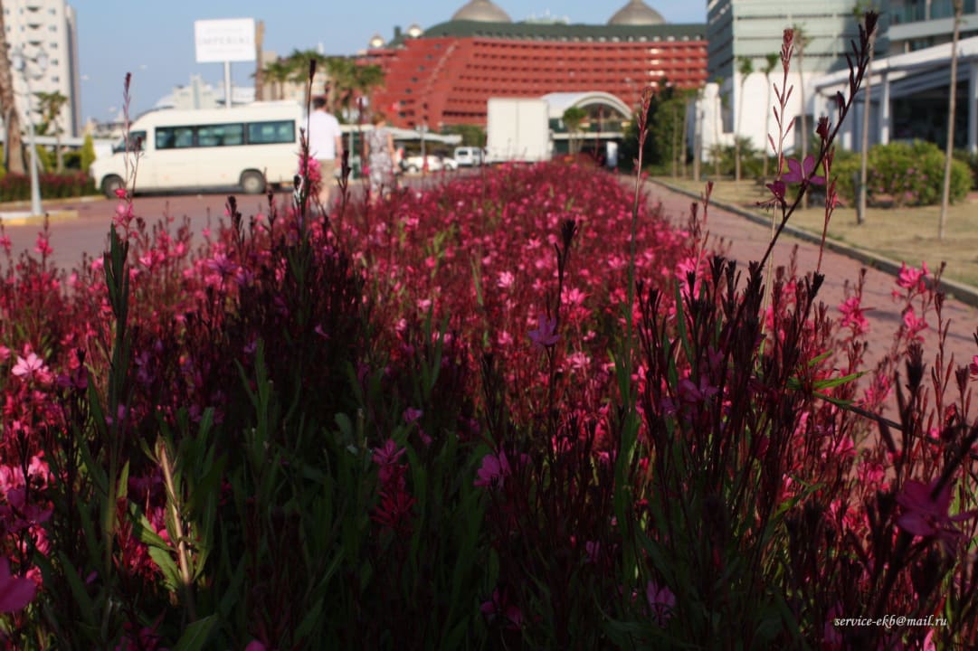 Delphin Imperial Hotel Delphin Imperial