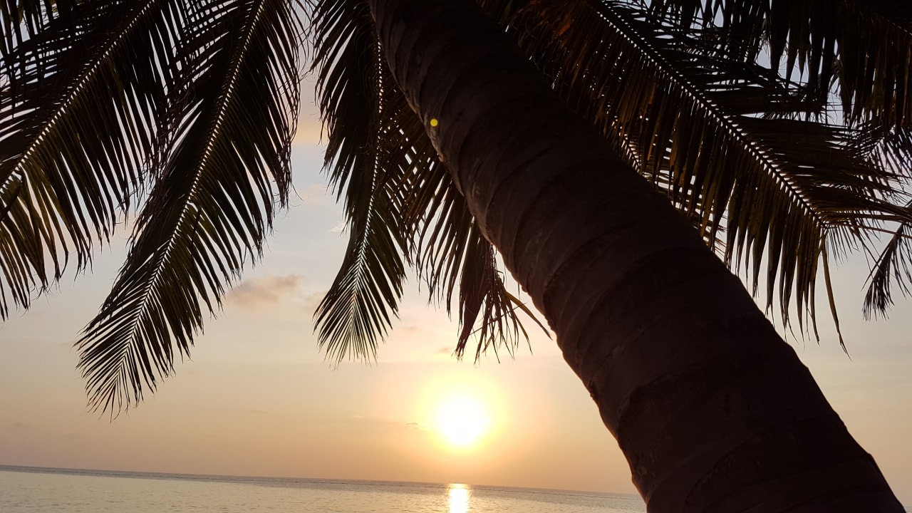 Ausblick Summer Island Maldives