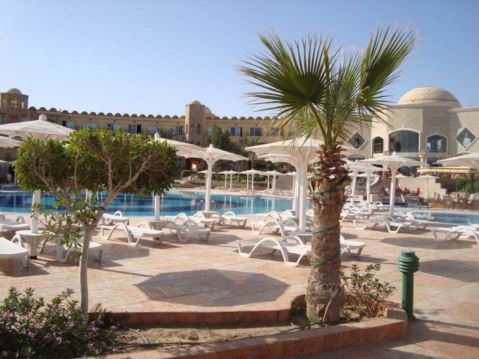 Pool Utopia Beach Club