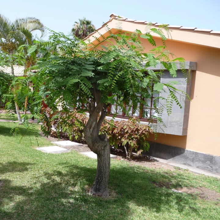 Dunas Suites & Villas Vegetation Suites & Villas by Dunas