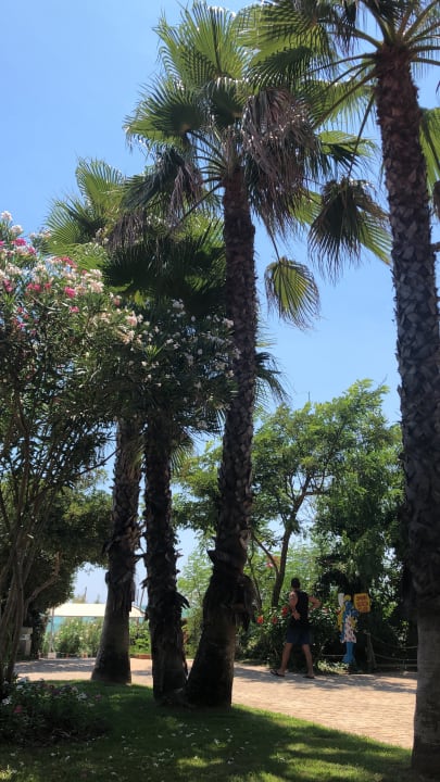 Gartenanlage Belconti Resort Hotel