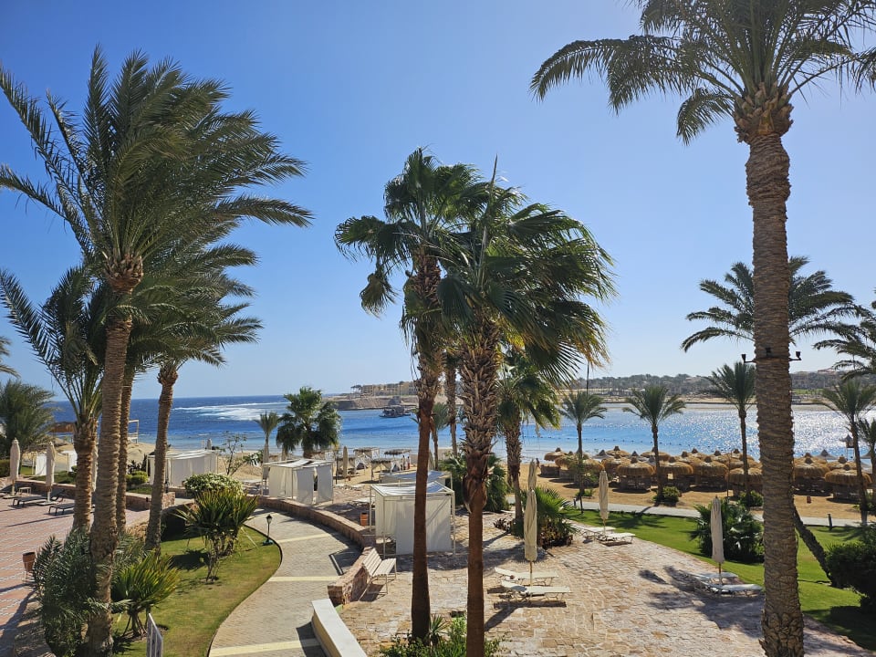 Strand Steigenberger Coraya Beach - Adults only