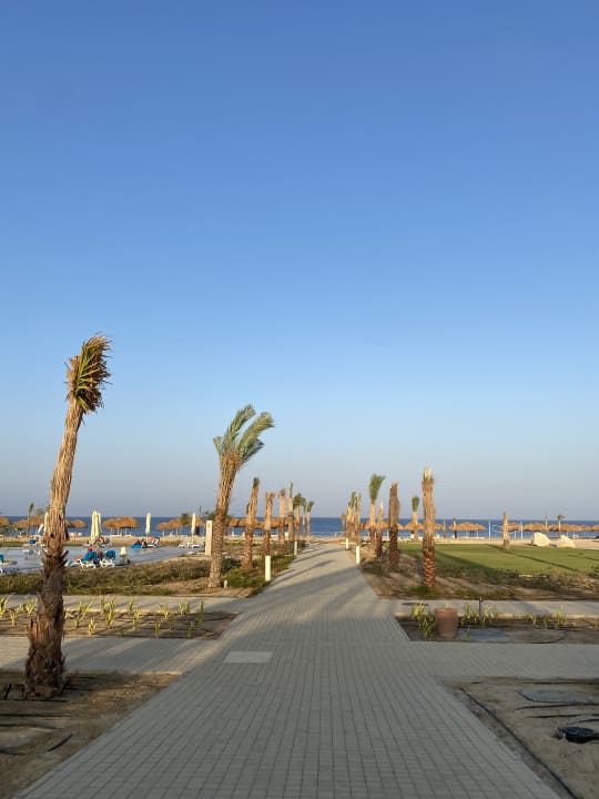 Pool Sentido Reef Oasis Suakin