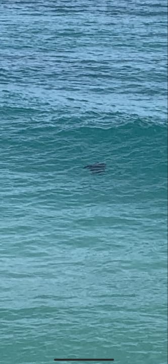 Ausblick Hotel Riu Touareg