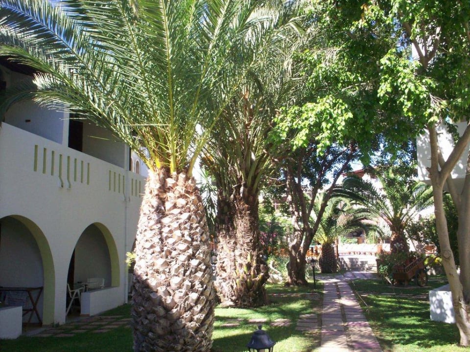 In der Anlage Gaia Garden Hotel