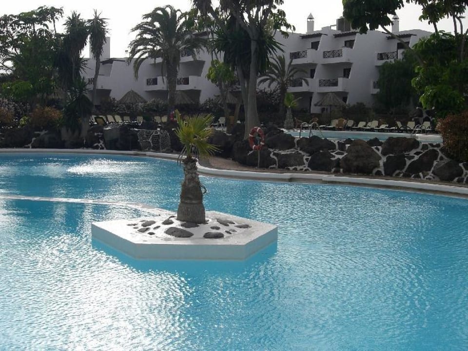 Hauptpool allsun App.-Hotel Albatros