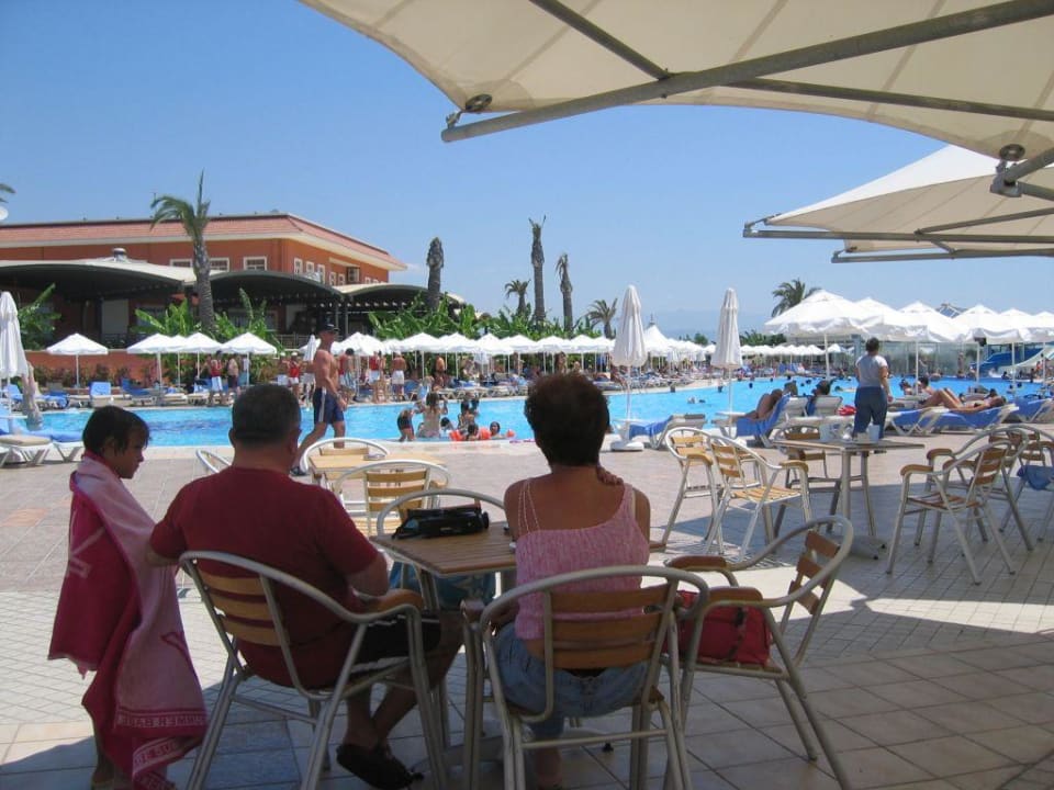 Pool Bar Crystal Paraiso Aqua Collection