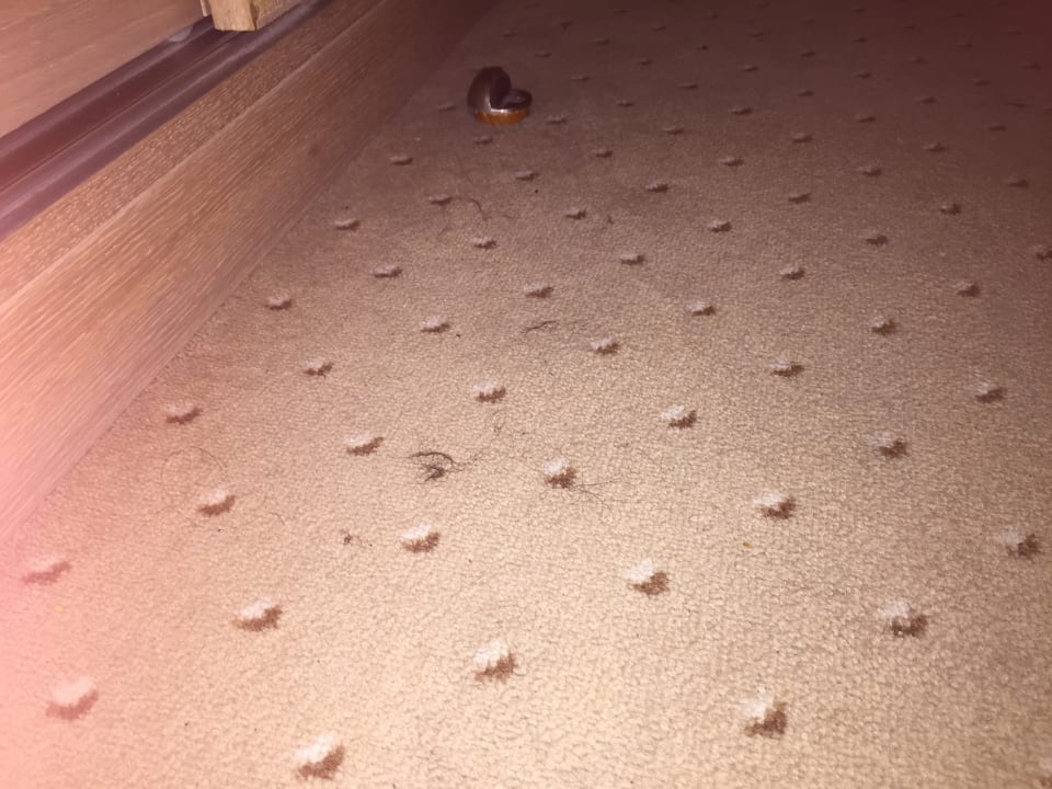 Zimmer Salamis Bay Conti Resort Hotel & Casino