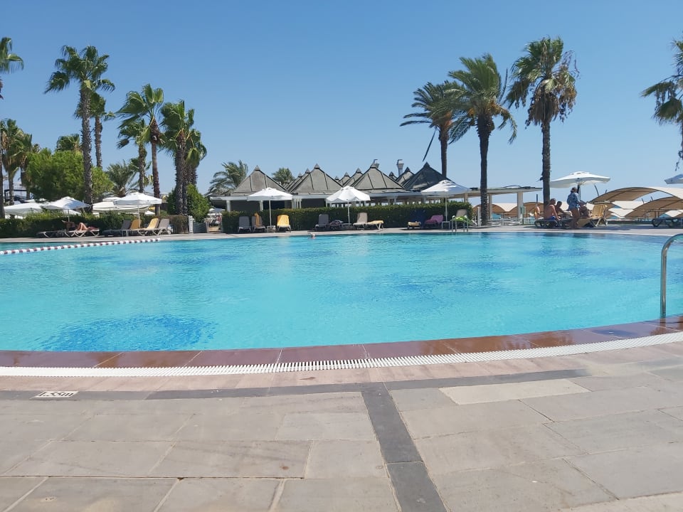 Pool Papillon Belvil