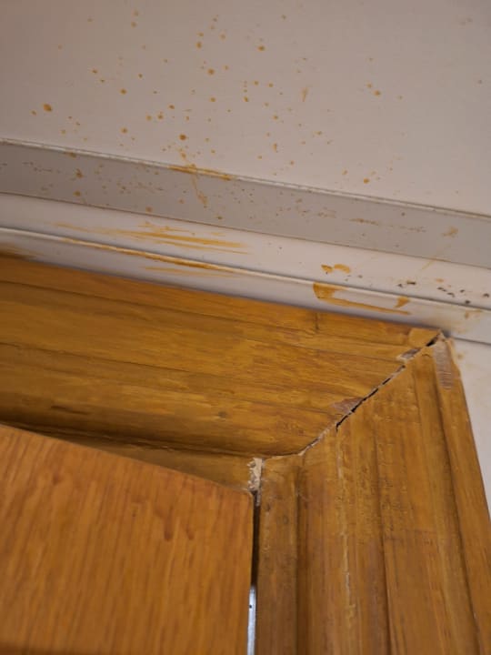 Zimmer MG Alexander The Great Hotel