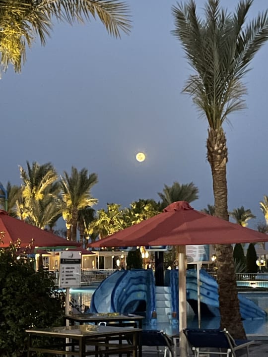 Pool Pickalbatros Palace Resort