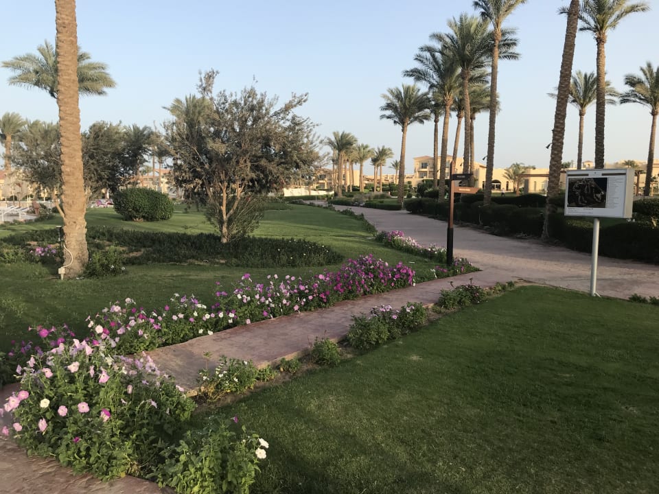 Gartenanlage Cleopatra Luxury Resort Makadi Bay