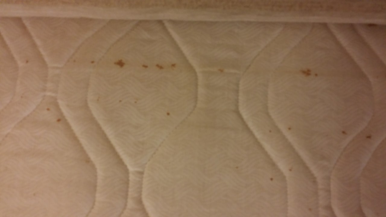 Zimmer Atlantica Mikri Poli Crete