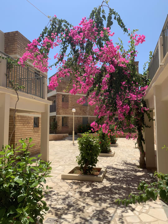 Sonstiges Bella Beach Hotel