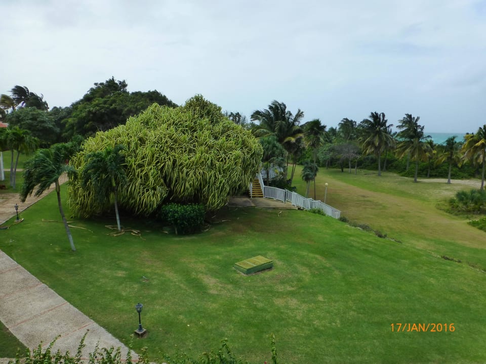 Breezes, Gartenanlage Hotel Los Cactus
