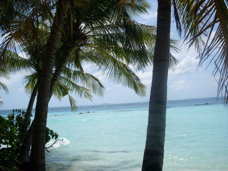Wunderschöner Strand vor dem Bungalows 54-65 Summer Island Maldives