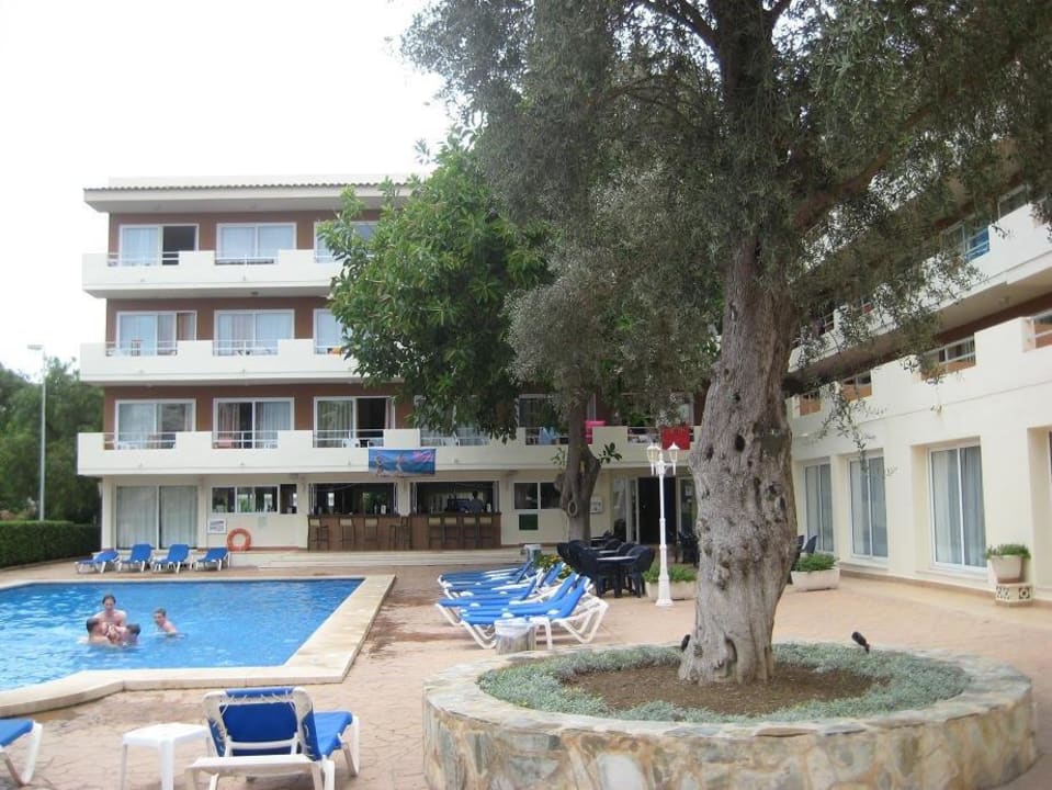 Innenseite THB Dos Playas - Adults only