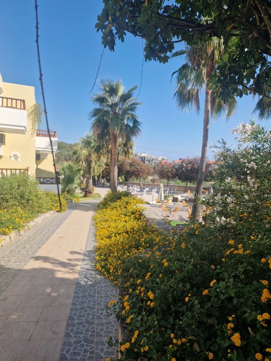 Ausblick Almyrida Village & Waterpark