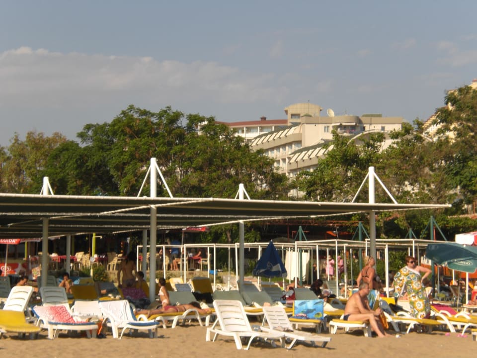 Hoteleigener Strand mit genügend Schattenplätzen Side Alegria Hotel & Spa - Adults only +16