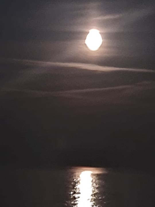 Ausblick SEETELHOTEL Kaiserstrand Beachhotel