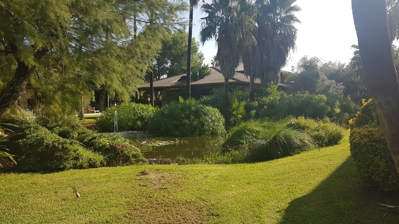 Gartenanlage PortBlue Club Pollentia Resort & Spa