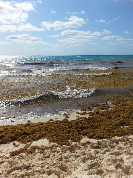 Strand Iberostar Waves Quetzal