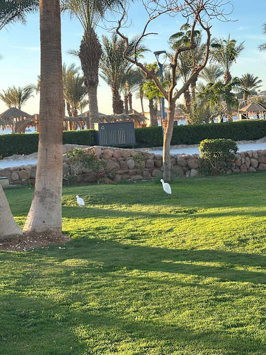 Gartenanlage JAZ Fayrouz