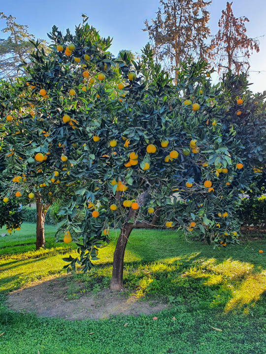 Gartenanlage Melas Holiday Village
