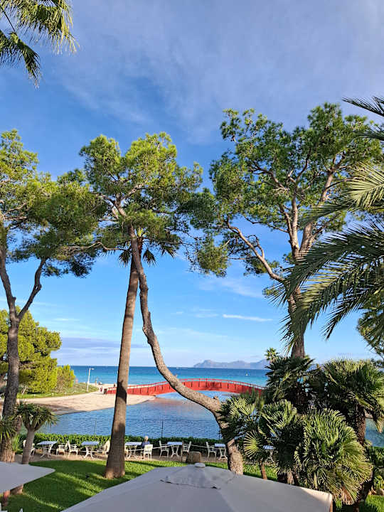 Ausblick allsun App.-Hotel Orquidea Playa