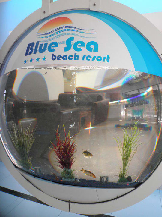 Aquarium im Eingangsbereich Blue Sea Beach Resort