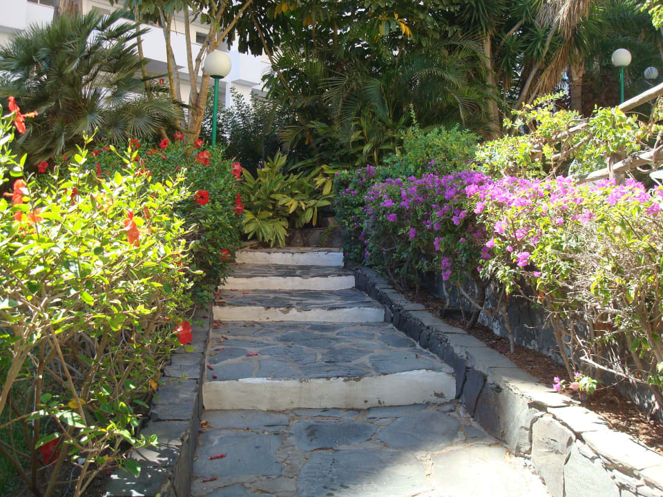 Wunderschöner Garten allsun Hotel Lucana