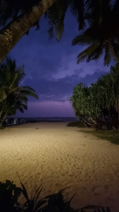 Strand Thaala Bentota