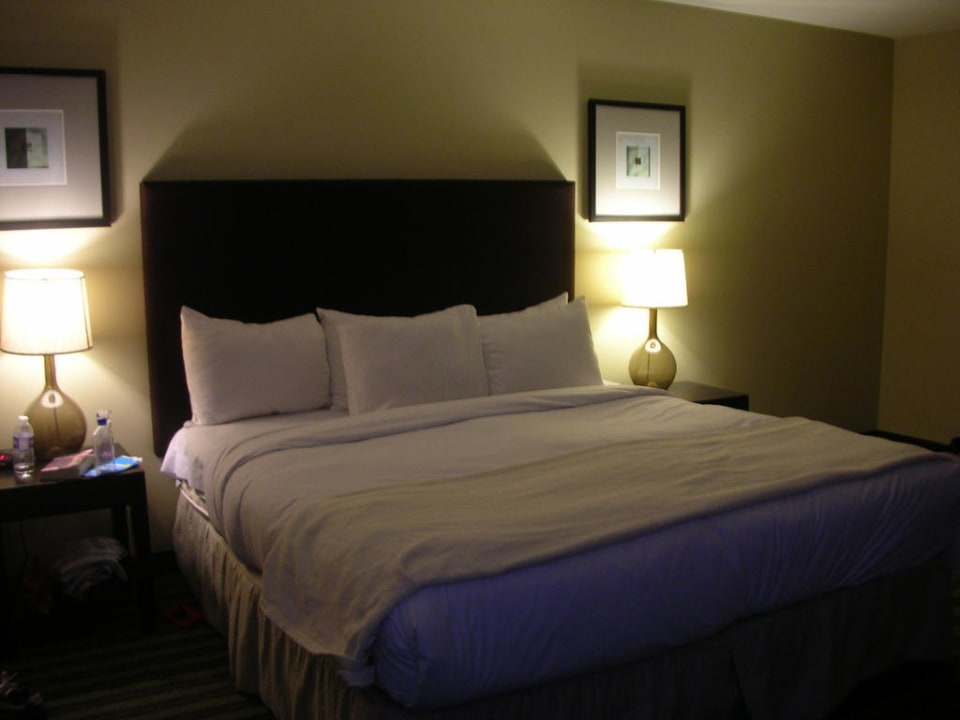 King bed deluxe room Inn of Chicago