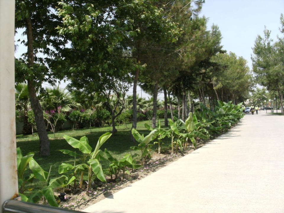 Weg zum Strand VONRESORT Golden Beach