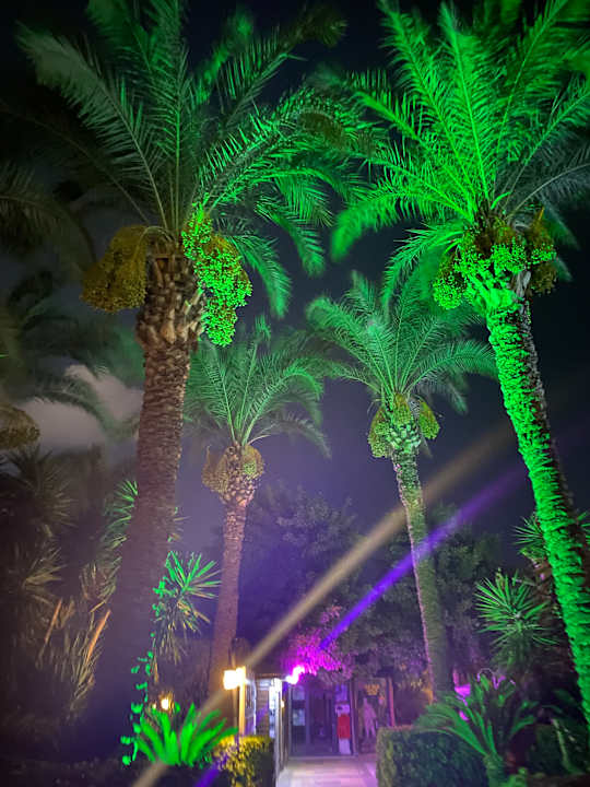 Gartenanlage Sunis Kumköy Beach Resort Hotel & Spa