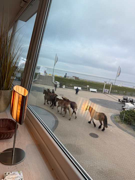 Außenansicht Strandhotel Duhnen / Aparthotel Kamp