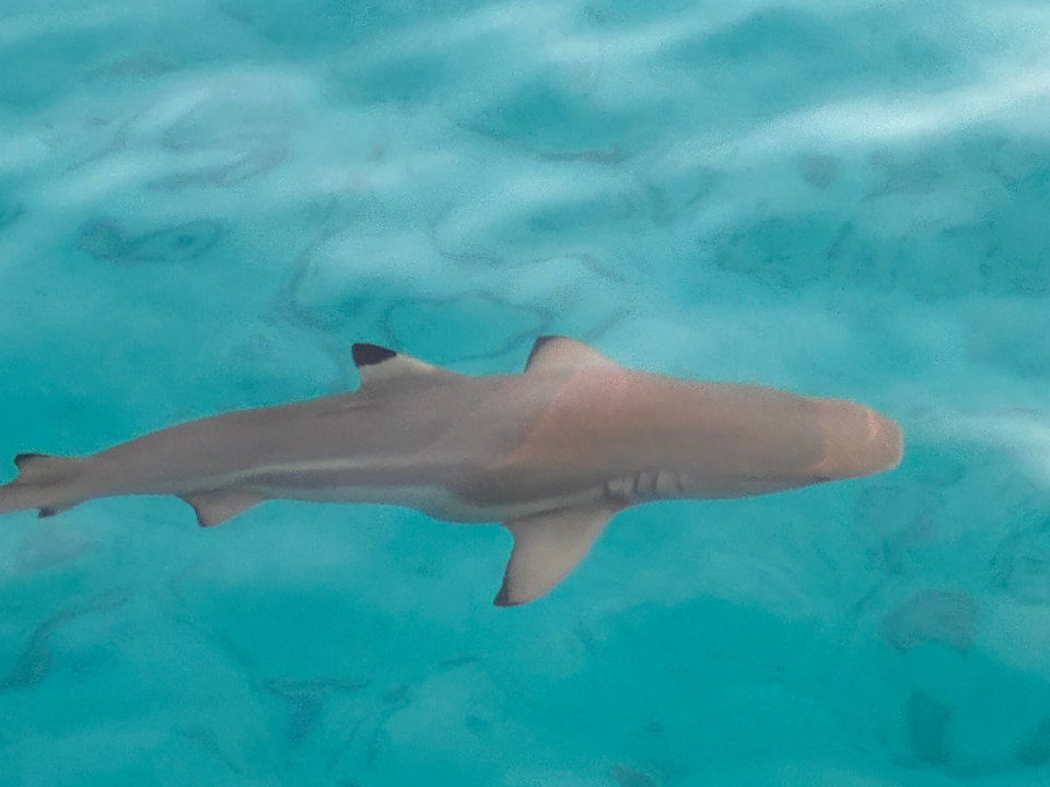 Sonstiges Kuredu Island Resort & Spa