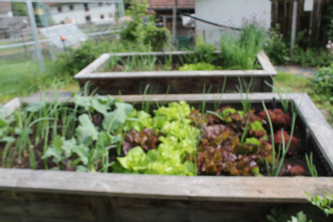 Gartenanlage Gästehaus Fidelis