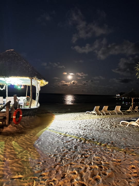 Strand Hotel Kiwengwa Beach Resort